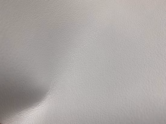 PPE PU-Sicherheitsschuhe aus Mikrofaservlies EN 20344 S2 Standard